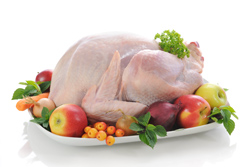 Как выбрать курицу и как хранить курицу и готовые блюда из нее 