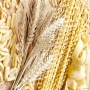 Макароны из белорусской пшеницы скоро станут реальностью