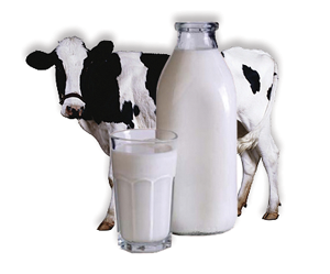 Нехватка «социального» молока в Белоруссии