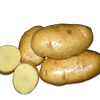Картофель в Беларуси