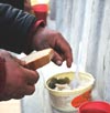 Чем кормят бездомных