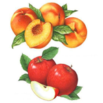 Союз яблока и абрикоса для деток