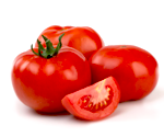 Томатная моль «съедает»  помидоры