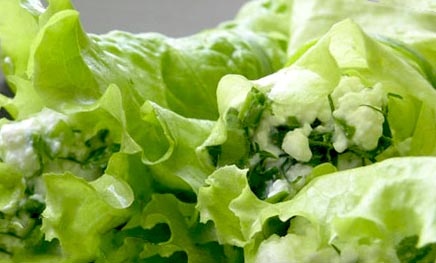Рецепт салатных рулетов с зеленой начинкой от Михал Михалыча Маруга