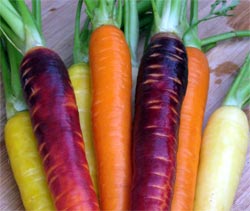 Разные цвета моркови